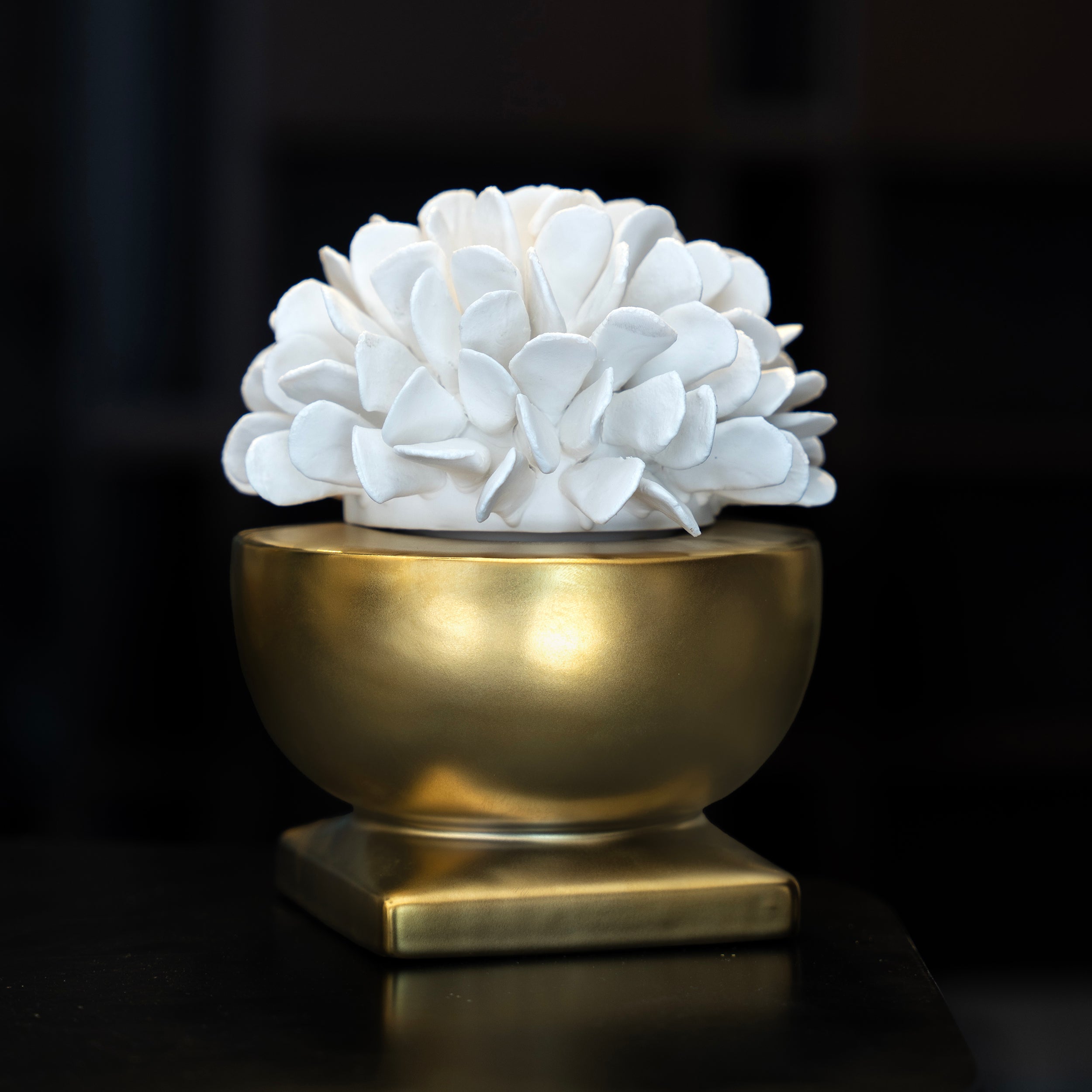 Golden Bloom